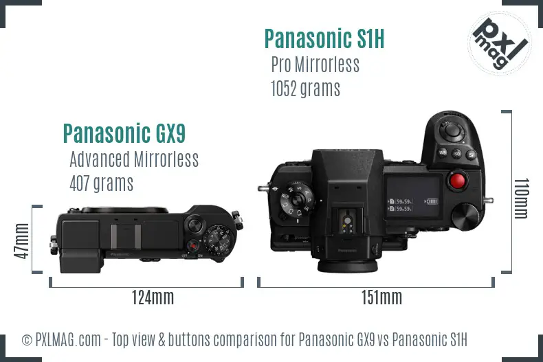 Panasonic GX9 vs Panasonic S1H top view buttons comparison