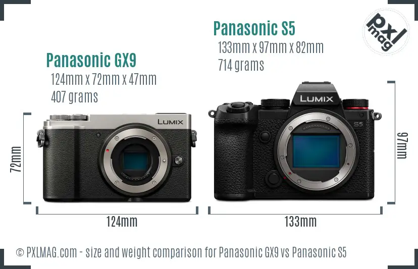 Panasonic GX9 vs Panasonic S5 size comparison