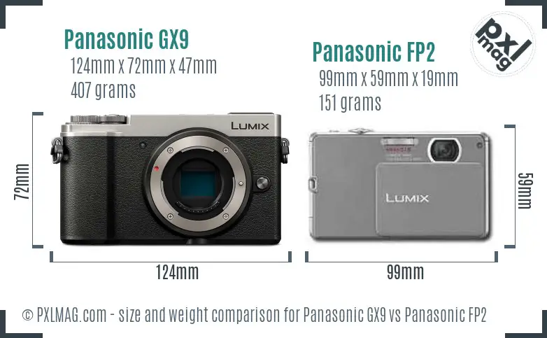 Panasonic GX9 vs Panasonic FP2 size comparison