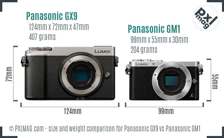 Panasonic GX9 vs Panasonic GM1 size comparison