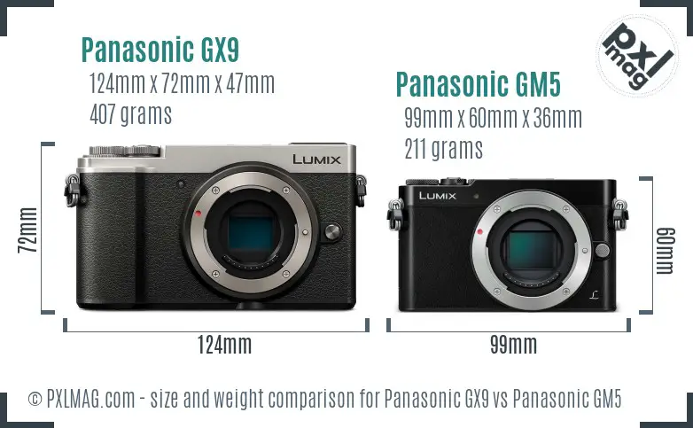 Panasonic GX9 vs Panasonic GM5 size comparison