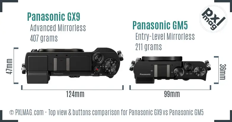 Panasonic GX9 vs Panasonic GM5 top view buttons comparison