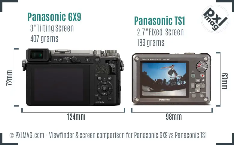 Panasonic GX9 vs Panasonic TS1 Screen and Viewfinder comparison