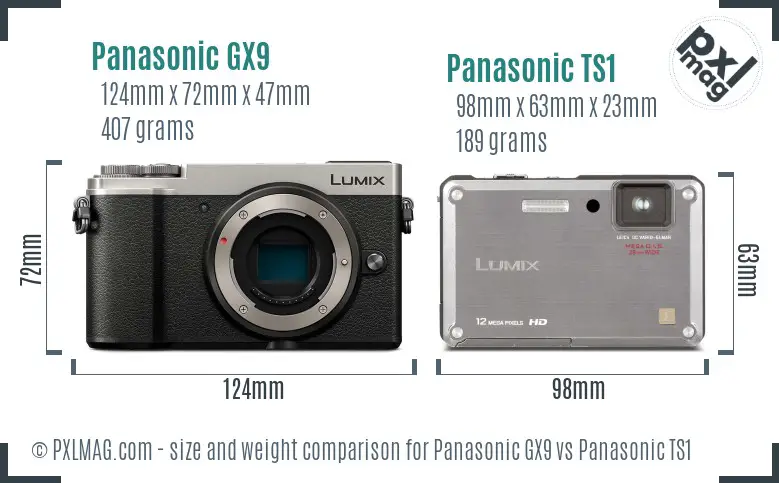Panasonic GX9 vs Panasonic TS1 size comparison