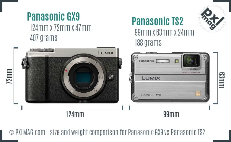 Panasonic GX9 vs Panasonic TS2 size comparison