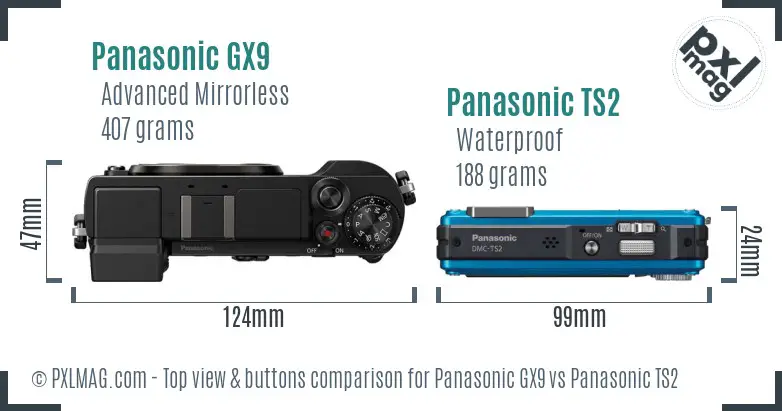 Panasonic GX9 vs Panasonic TS2 top view buttons comparison