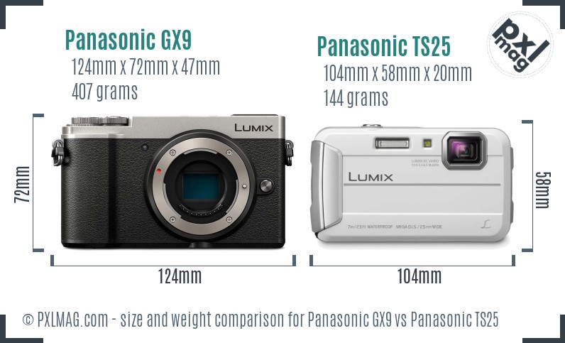 Panasonic GX9 vs Panasonic TS25 size comparison Panasonic GX9 vs Panasonic TS25 size comparison