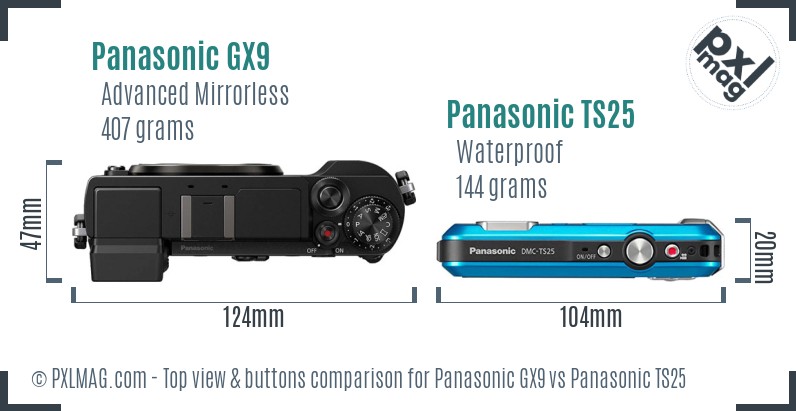Panasonic GX9 vs Panasonic TS25 top view buttons comparison