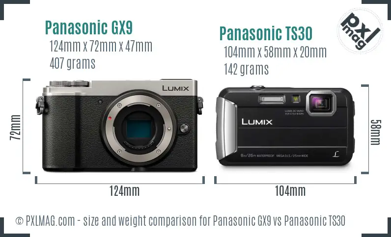 Panasonic GX9 vs Panasonic TS30 size comparison