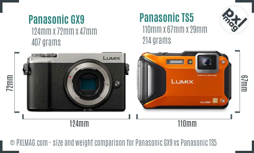 Panasonic GX9 vs Panasonic TS5 size comparison