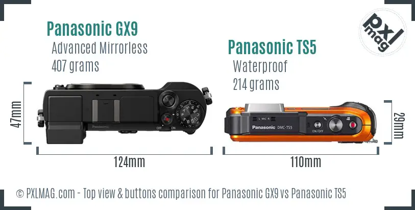Panasonic GX9 vs Panasonic TS5 top view buttons comparison