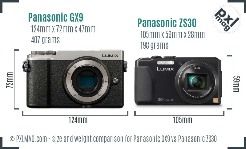 Panasonic GX9 vs Panasonic ZS30 size comparison