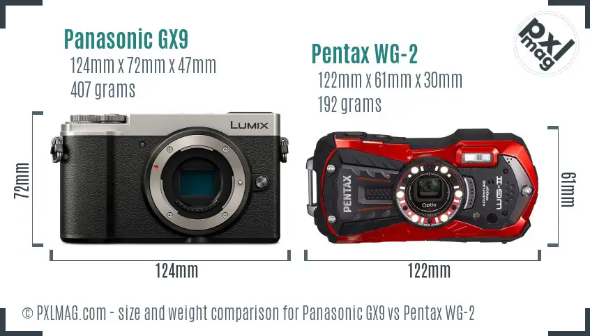 Panasonic GX9 vs Pentax WG-2 size comparison