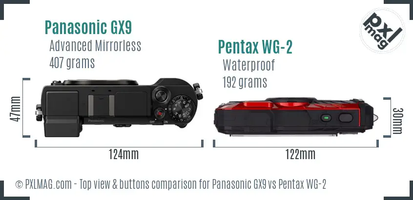 Panasonic GX9 vs Pentax WG-2 top view buttons comparison
