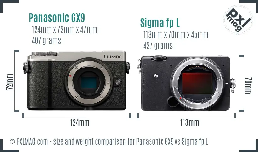 Panasonic GX9 vs Sigma fp L size comparison