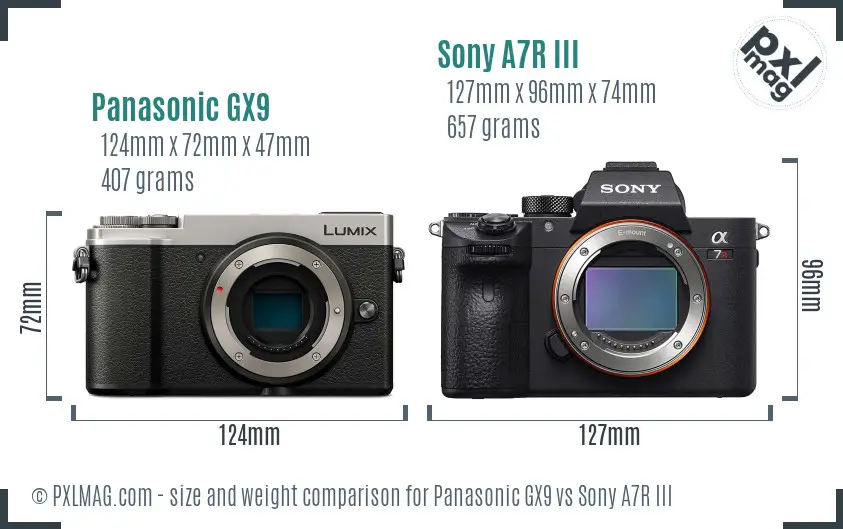 Panasonic GX9 vs Sony A7R III size comparison