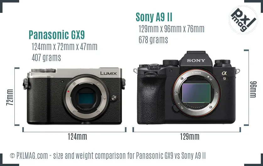 Panasonic GX9 vs Sony A9 II size comparison