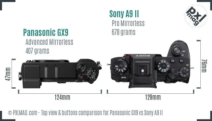 Panasonic GX9 vs Sony A9 II top view buttons comparison