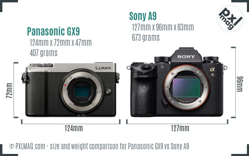 Panasonic GX9 vs Sony A9 size comparison