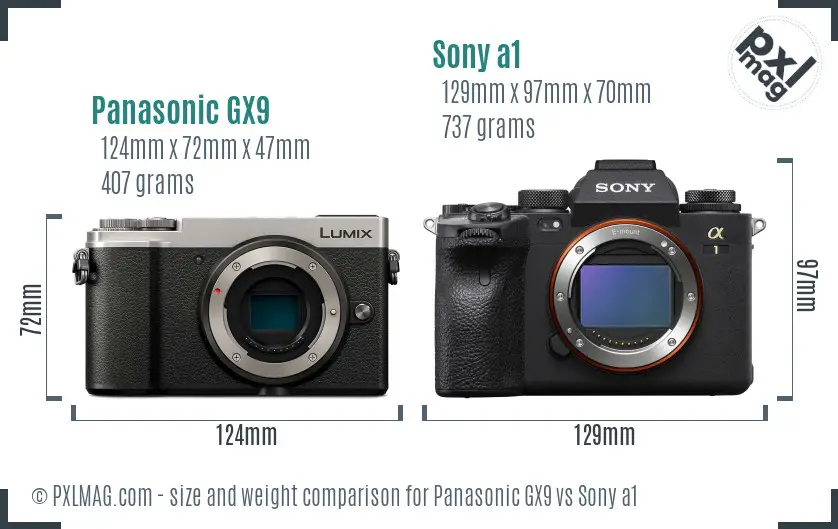 Panasonic GX9 vs Sony a1 size comparison