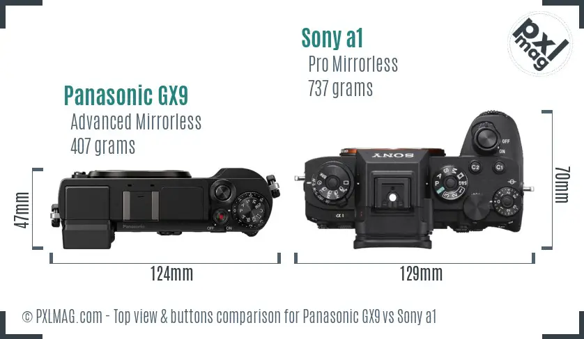 Panasonic GX9 vs Sony a1 top view buttons comparison