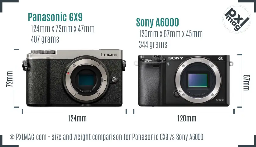 Panasonic GX9 vs Sony A6000 size comparison