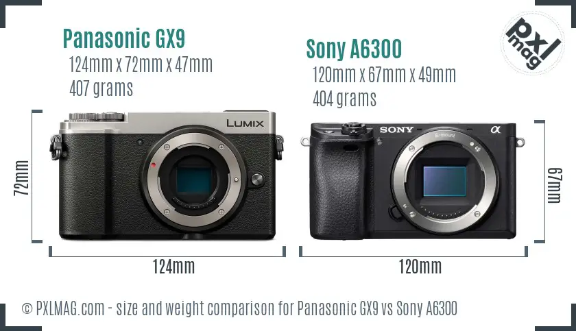 Panasonic GX9 vs Sony A6300 size comparison