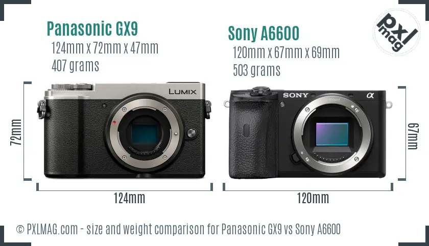 Panasonic GX9 vs Sony A6600 size comparison
