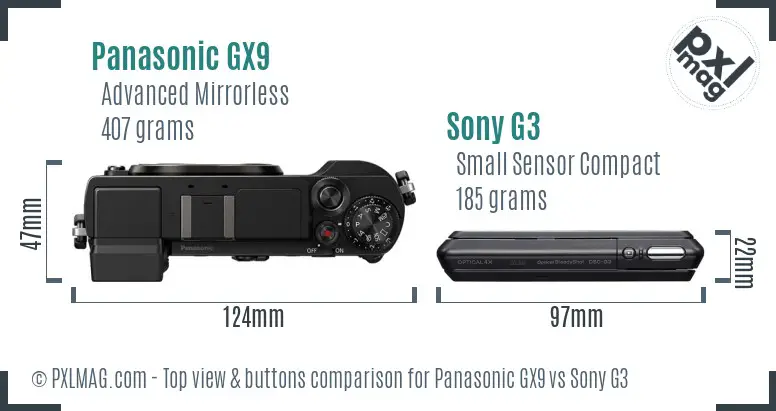 Panasonic GX9 vs Sony G3 top view buttons comparison