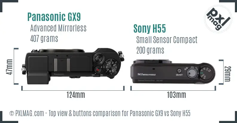 Panasonic GX9 vs Sony H55 top view buttons comparison
