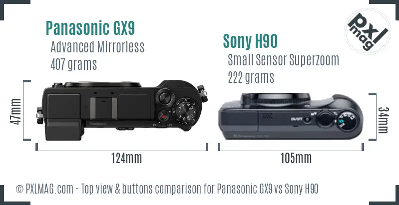 Panasonic GX9 vs Sony H90 top view buttons comparison