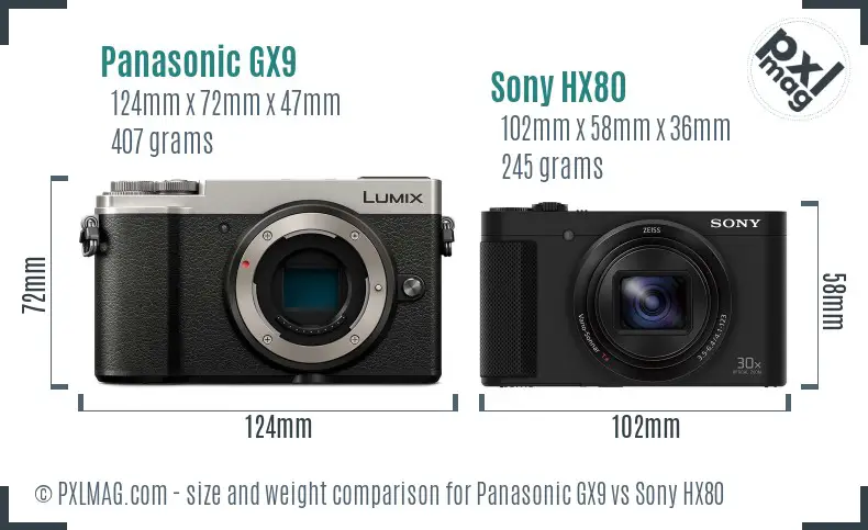 Panasonic GX9 vs Sony HX80 size comparison