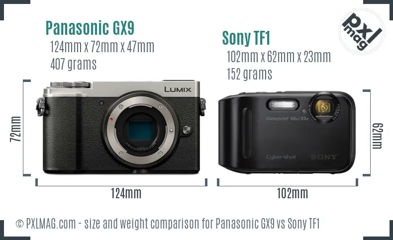 Panasonic GX9 vs Sony TF1 size comparison