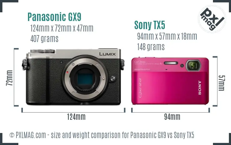 Panasonic GX9 vs Sony TX5 size comparison