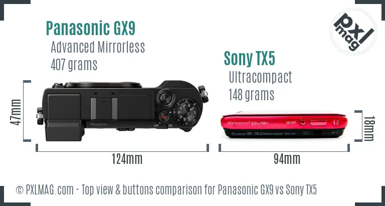 Panasonic GX9 vs Sony TX5 top view buttons comparison