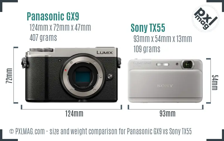 Panasonic GX9 vs Sony TX55 size comparison Panasonic GX9 vs Sony TX55 size comparison