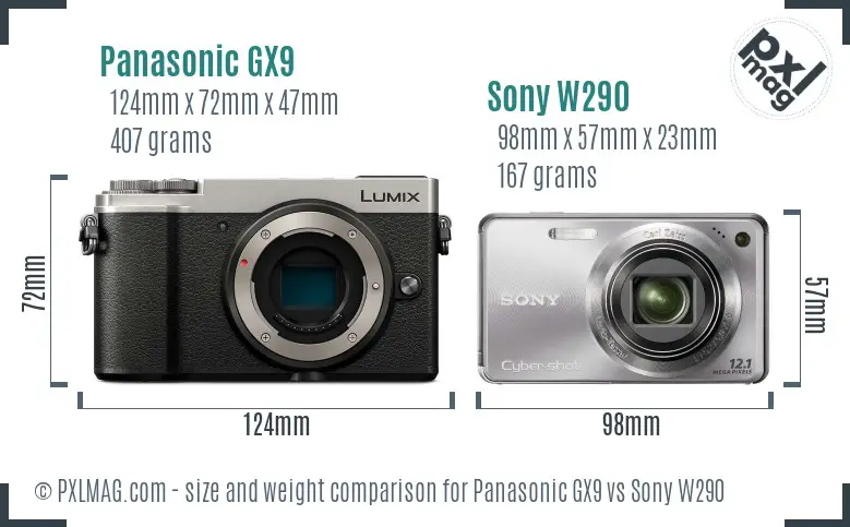 Panasonic GX9 vs Sony W290 size comparison