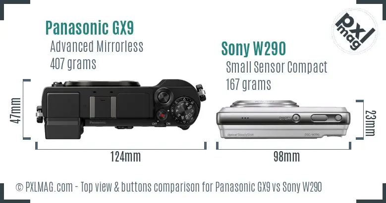 Panasonic GX9 vs Sony W290 top view buttons comparison