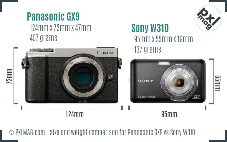 Panasonic GX9 vs Sony W310 size comparison