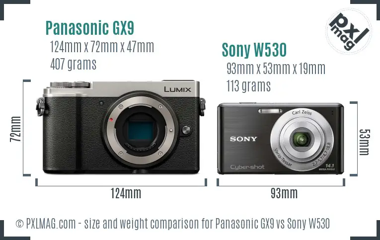 Panasonic GX9 vs Sony W530 size comparison