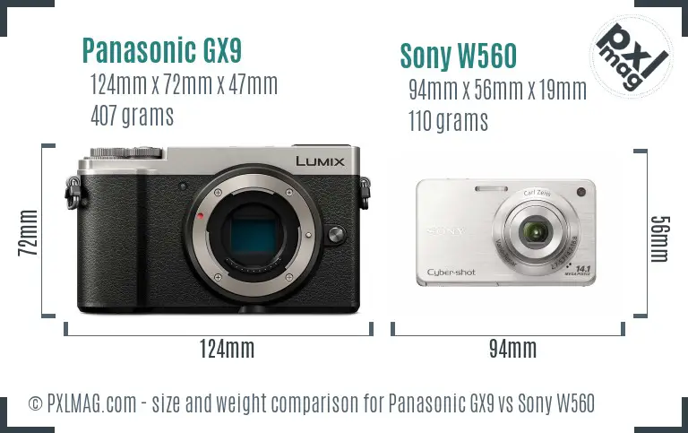 Panasonic GX9 vs Sony W560 size comparison