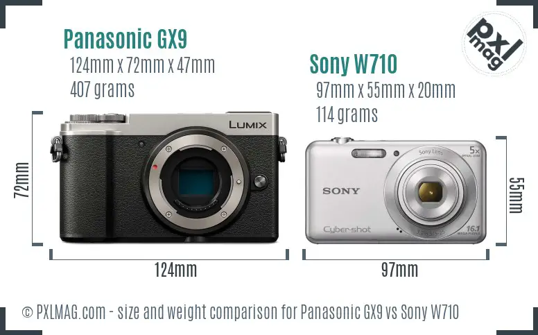 Panasonic GX9 vs Sony W710 size comparison