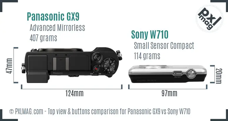 Panasonic GX9 vs Sony W710 top view buttons comparison