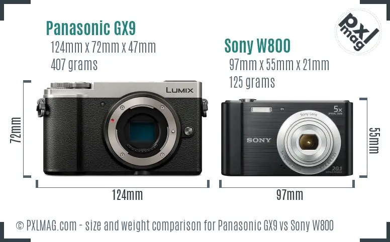 Panasonic GX9 vs Sony W800 size comparison
