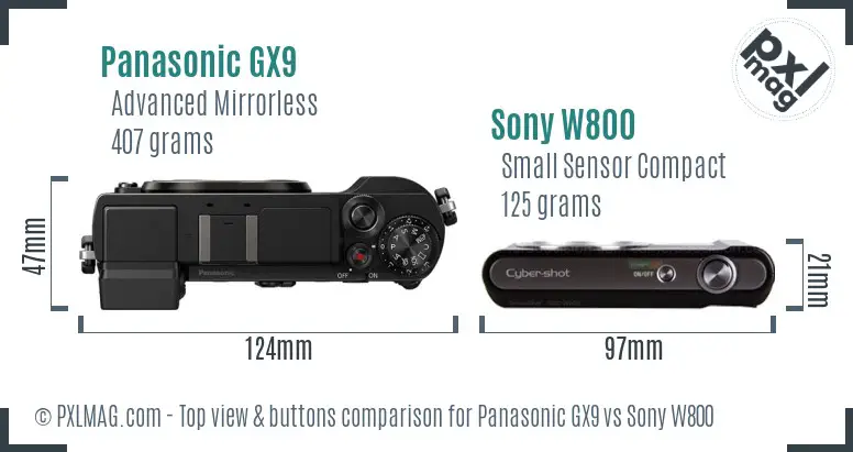 Panasonic GX9 vs Sony W800 top view buttons comparison