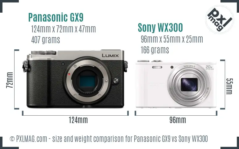 Panasonic GX9 vs Sony WX300 size comparison