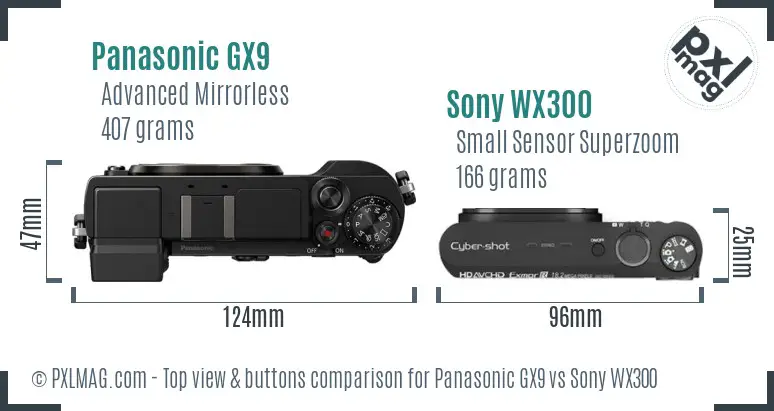 Panasonic GX9 vs Sony WX300 top view buttons comparison