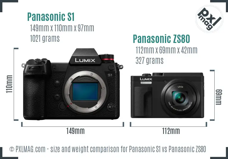 Panasonic S1 vs Panasonic ZS80 size comparison