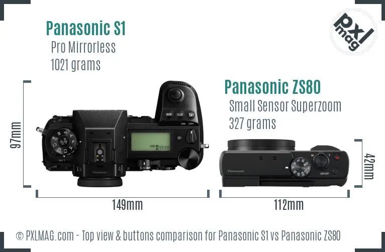 Panasonic S1 vs Panasonic ZS80 top view buttons comparison