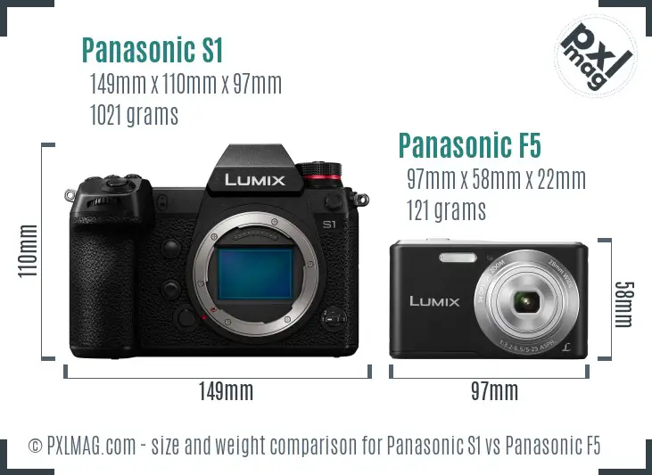 Panasonic S1 vs Panasonic F5 size comparison